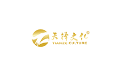 深圳市维世科技有限公司 